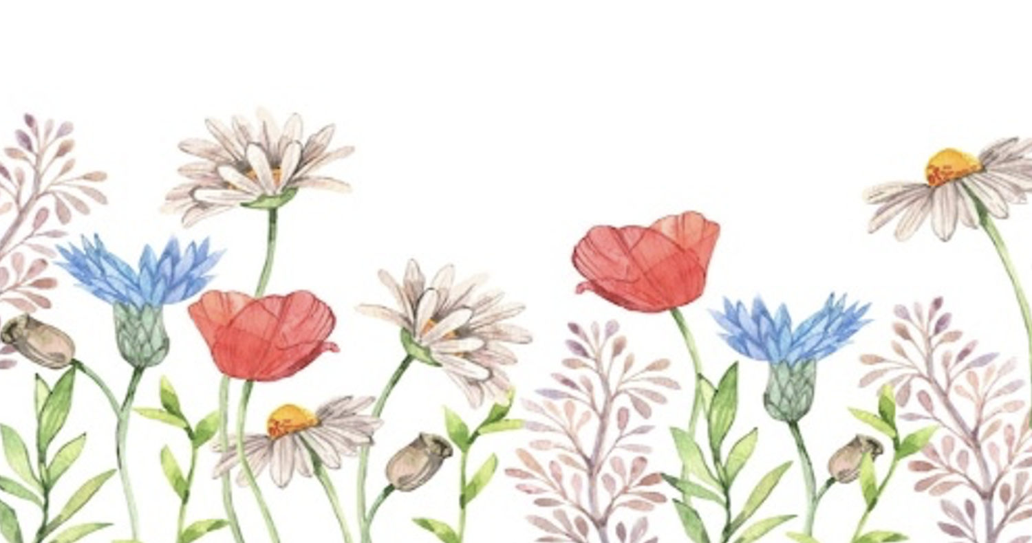 Zeichnung/Malerei - Blumenwiese